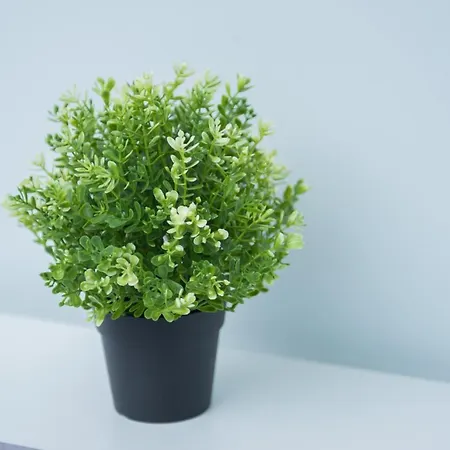 Krakowska Comfort By Bookinghost アパート