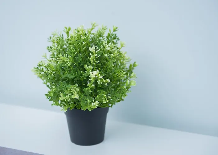 Krakowska Comfort By Bookinghost Апартаменты